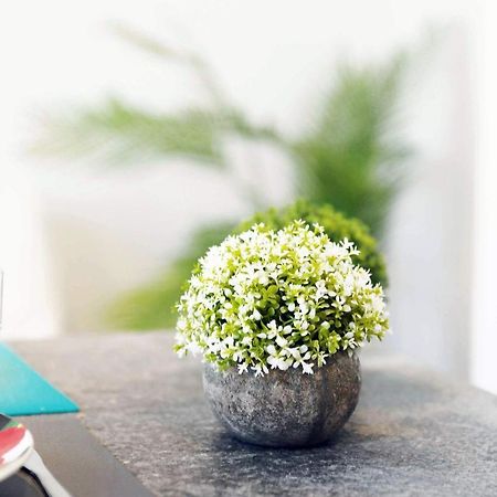 Gregbnb - T2 Design - Climatise - Wifi Fibre 툴롱 외부 사진